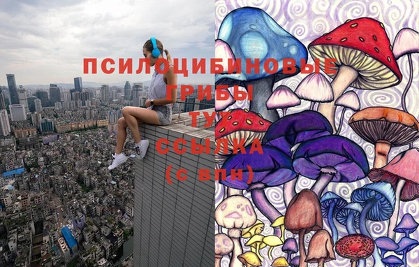 таблы Алексеевка