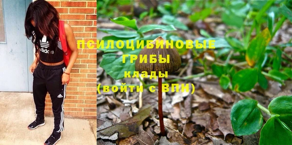 mdpv Алексин