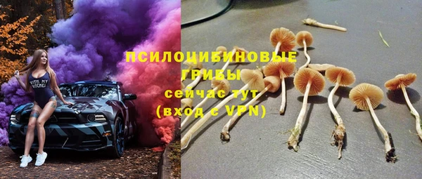амф Алзамай
