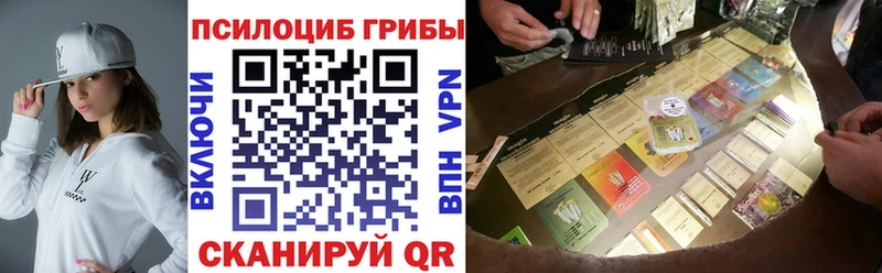 Галлюциногенные грибы мицелий  купить  цена  Калач-на-Дону 
