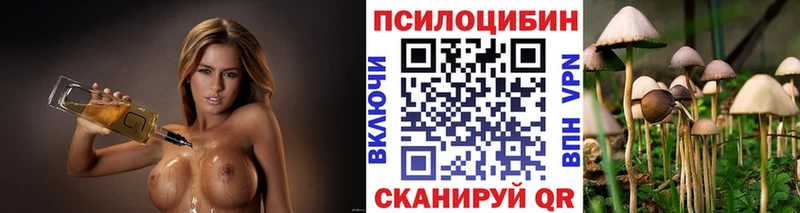 Галлюциногенные грибы Psilocybine cubensis Калач-на-Дону